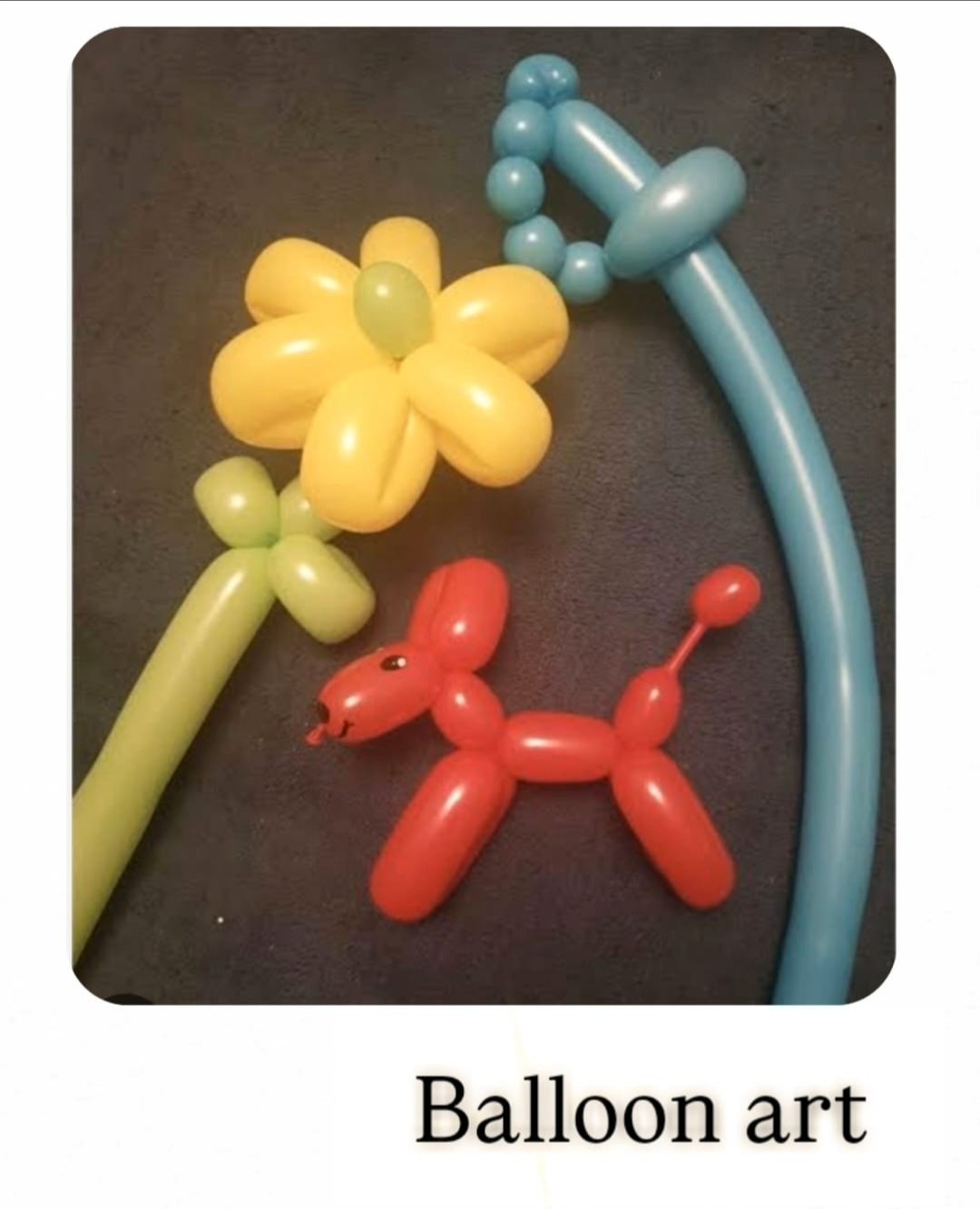 Balloon Modeling Artist